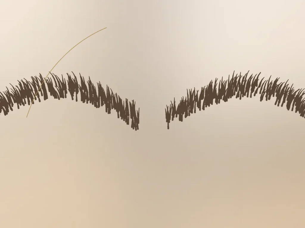Ilustracja poglądowa usługi: Laminacja brwi
